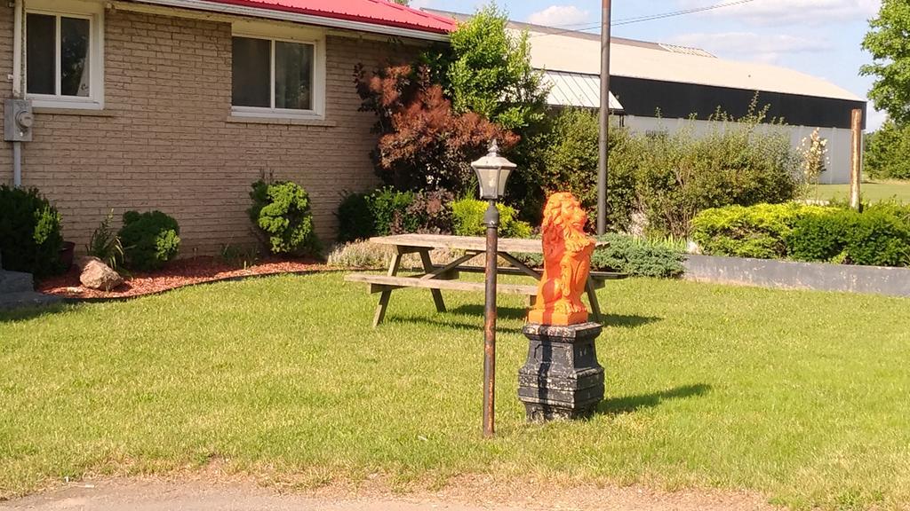 Maple Leaf Motel 德里 外观 照片